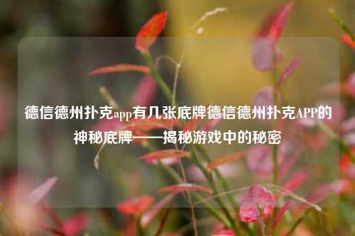 德信德州扑克app有几张底牌德信德州扑克APP的神秘底牌——揭秘游戏中的秘密