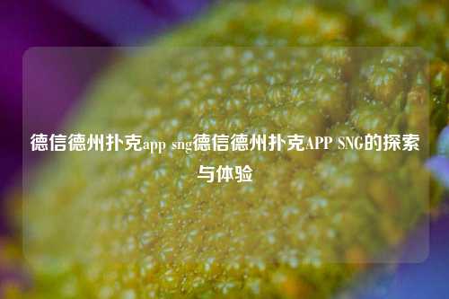 德信德州扑克app sng德信德州扑克APP SNG的探索与体验