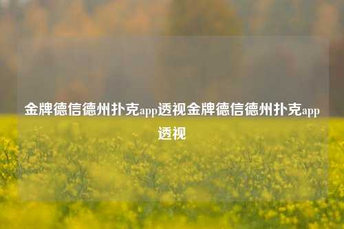 金牌德信德州扑克app透视金牌德信德州扑克app透视