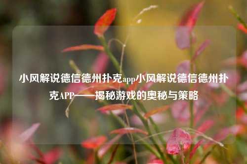 小风解说德信德州扑克app小风解说德信德州扑克APP——揭秘游戏的奥秘与策略