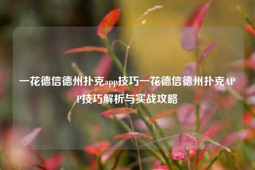 一花德信德州扑克app技巧一花德信德州扑克APP技巧解析与实战攻略