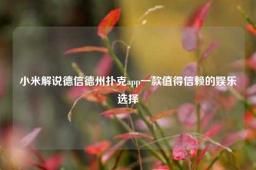 小米解说德信德州扑克app一款值得信赖的娱乐选择