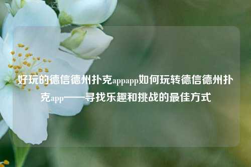 好玩的德信德州扑克appapp如何玩转德信德州扑克app——寻找乐趣和挑战的最佳方式