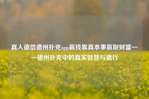 真人德信德州扑克app赢钱靠真本事赢取财富——德州扑克中的真实智慧与德行