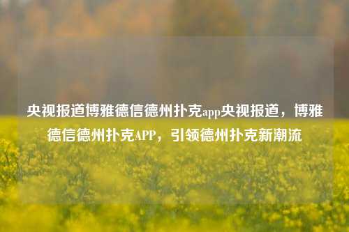 央视报道博雅德信德州扑克app央视报道，博雅德信德州扑克APP，引领德州扑克新潮流