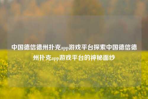 中国德信德州扑克app游戏平台探索中国德信德州扑克app游戏平台的神秘面纱