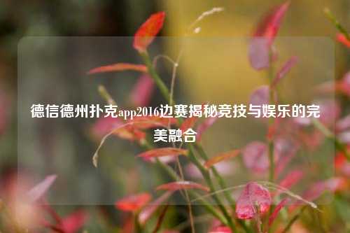 德信德州扑克app2016边赛揭秘竞技与娱乐的完美融合