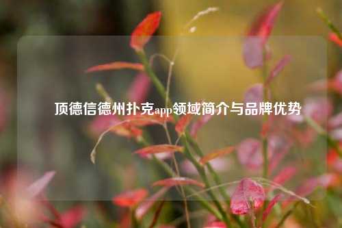 雲顶德信德州扑克app领域简介与品牌优势