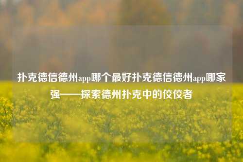 扑克德信德州app哪个最好扑克德信德州app哪家强——探索德州扑克中的佼佼者