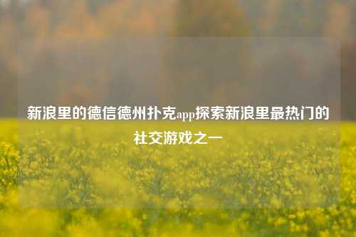 新浪里的德信德州扑克app探索新浪里最热门的社交游戏之一