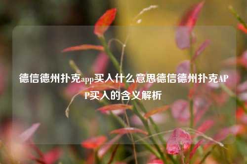 德信德州扑克app买入什么意思德信德州扑克APP买入的含义解析