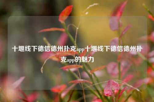 十堰线下德信德州扑克app十堰线下德信德州扑克app的魅力