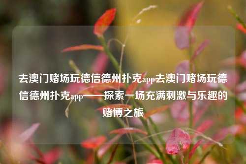 去澳门赌场玩德信德州扑克app去澳门赌场玩德信德州扑克app——探索一场充满刺激与乐趣的赌博之旅