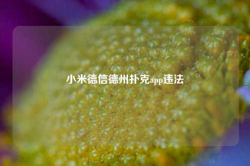 小米德信德州扑克app违法