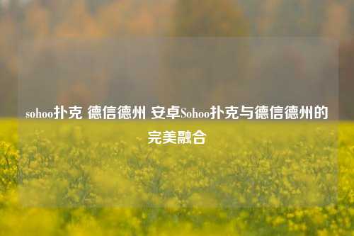 sohoo扑克 德信德州 安卓Sohoo扑克与德信德州的完美融合