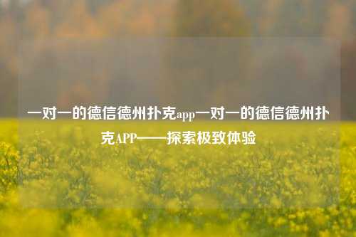 一对一的德信德州扑克app一对一的德信德州扑克APP——探索极致体验
