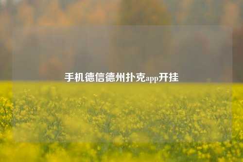 手机德信德州扑克app开挂