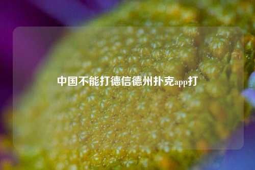 中国不能打德信德州扑克app打