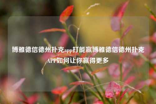 博雅德信德州扑克app打能赢博雅德信德州扑克APP如何让你赢得更多