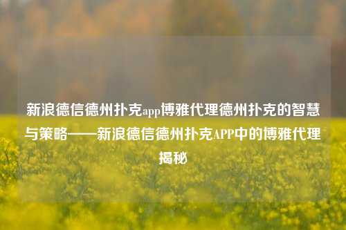 新浪德信德州扑克app博雅代理德州扑克的智慧与策略——新浪德信德州扑克APP中的博雅代理揭秘