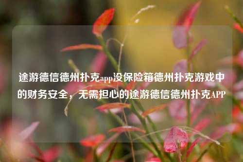 途游德信德州扑克app没保险箱德州扑克游戏中的财务安全，无需担心的途游德信德州扑克APP