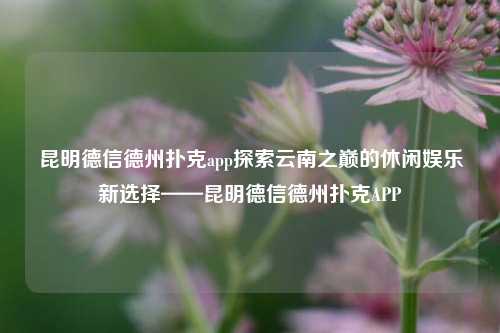 昆明德信德州扑克app探索云南之巅的休闲娱乐新选择——昆明德信德州扑克APP