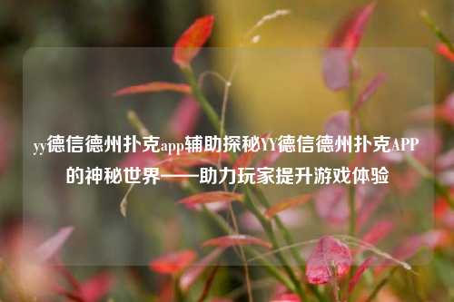 yy德信德州扑克app辅助探秘YY德信德州扑克APP的神秘世界——助力玩家提升游戏体验