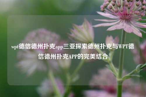wpt德信德州扑克app三亚探索德州扑克与WPT德信德州扑克APP的完美结合