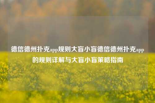 德信德州扑克app规则大盲小盲德信德州扑克app的规则详解与大盲小盲策略指南