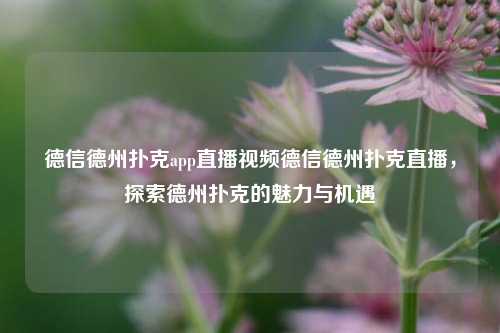 德信德州扑克app直播视频德信德州扑克直播，探索德州扑克的魅力与机遇