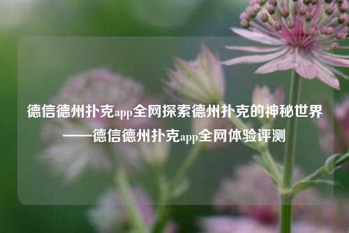 德信德州扑克app全网探索德州扑克的神秘世界——德信德州扑克app全网体验评测