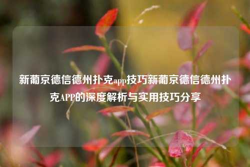 新葡京德信德州扑克app技巧新葡京德信德州扑克APP的深度解析与实用技巧分享