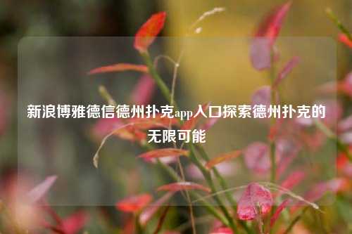 新浪博雅德信德州扑克app入口探索德州扑克的无限可能