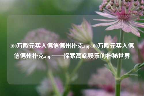 100万欧元买入德信德州扑克app100万欧元买入德信德州扑克app——探索高端娱乐的神秘世界