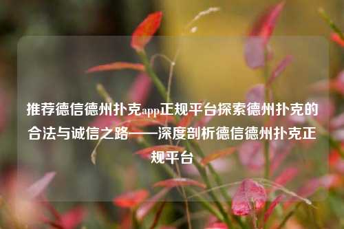 推荐德信德州扑克app正规平台探索德州扑克的合法与诚信之路——深度剖析德信德州扑克正规平台