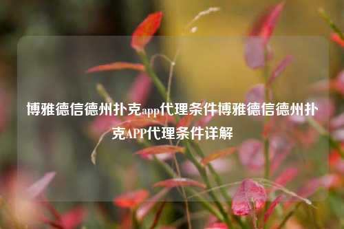 博雅德信德州扑克app代理条件博雅德信德州扑克APP代理条件详解