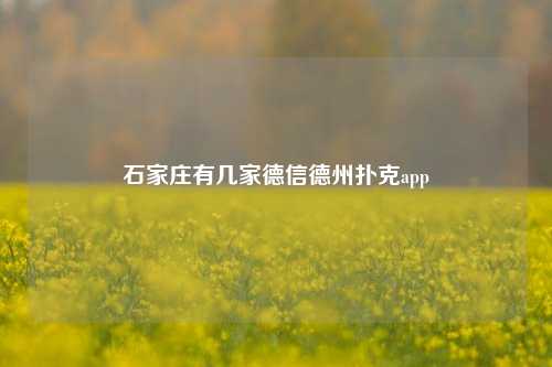 石家庄有几家德信德州扑克app