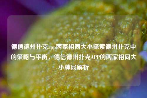 德信德州扑克app两家相同大小探索德州扑克中的策略与平衡，德信德州扑克APP的两家相同大小牌局解析