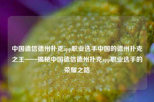 中国德信德州扑克app职业选手中国的德州扑克之王——揭秘中国德信德州扑克app职业选手的荣耀之路