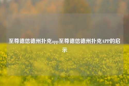 至尊德信德州扑克app至尊德信德州扑克APP的启示