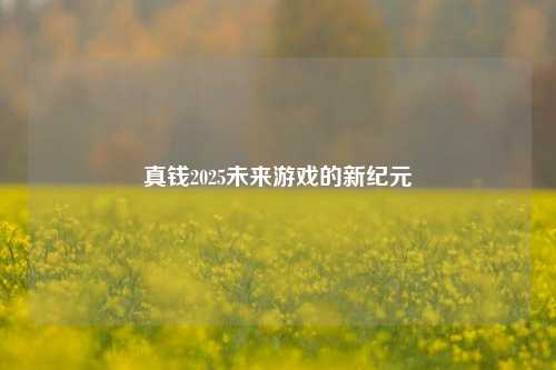 真钱2025未来游戏的新纪元