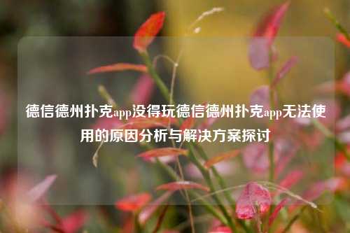 德信德州扑克app没得玩德信德州扑克app无法使用的原因分析与解决方案探讨