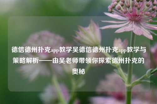 德信德州扑克app教学吴德信德州扑克app教学与策略解析——由吴老师带领你探索德州扑克的奥秘