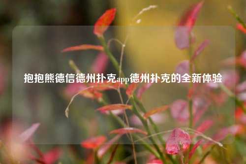 抱抱熊德信德州扑克app德州扑克的全新体验