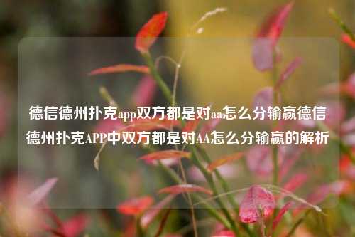 德信德州扑克app双方都是对aa怎么分输赢德信德州扑克APP中双方都是对AA怎么分输赢的解析