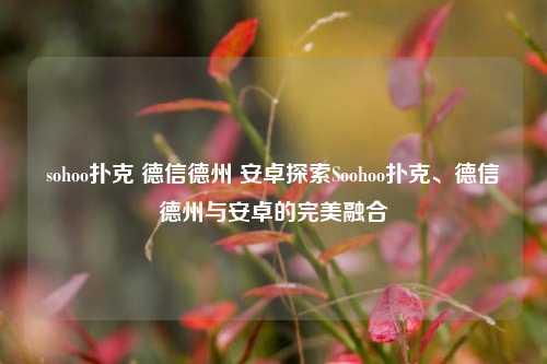 sohoo扑克 德信德州 安卓探索Soohoo扑克、德信德州与安卓的完美融合