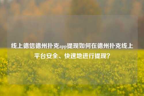 线上德信德州扑克app提现如何在德州扑克线上平台安全、快速地进行提现？