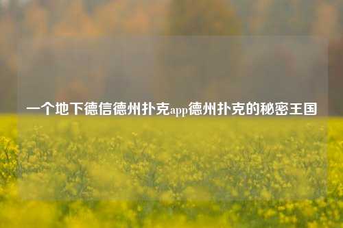 一个地下德信德州扑克app德州扑克的秘密王国