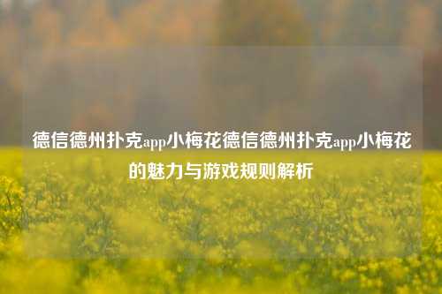 德信德州扑克app小梅花德信德州扑克app小梅花的魅力与游戏规则解析