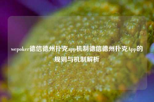 wepoker德信德州扑克app机制德信德州扑克App的规则与机制解析